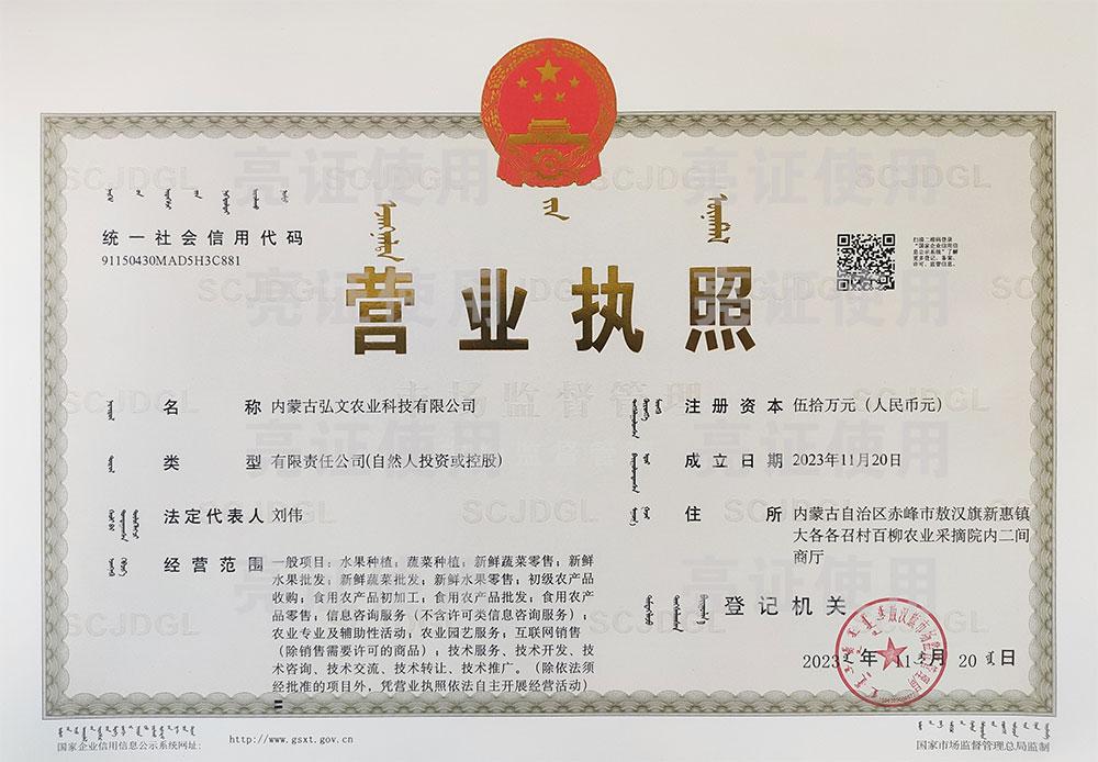 公司執照
